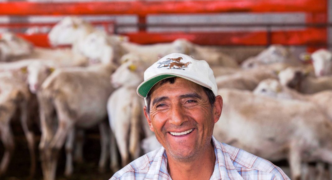 Expectativas y Logros Agroalimentarios 2019
