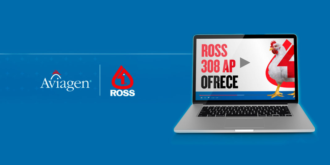 ross-308-ap